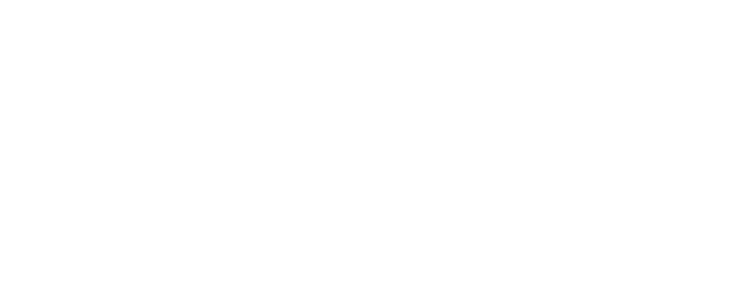 Region Cleaners